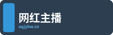 网红主播